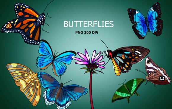 Download Butterflies Clip Art - Butterflies clip art Collection