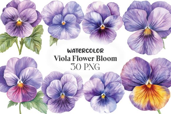 Download Viola Flower Bloom Clipart - Viola Collection
