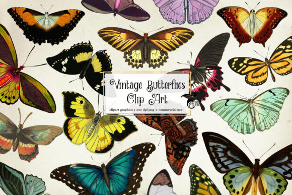 Download Vintage Butterflies Clip Art - Butterflies clip art Collection