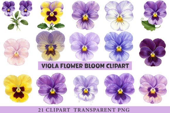 Download Viola Flower Bloom Clipart - Viola Collection