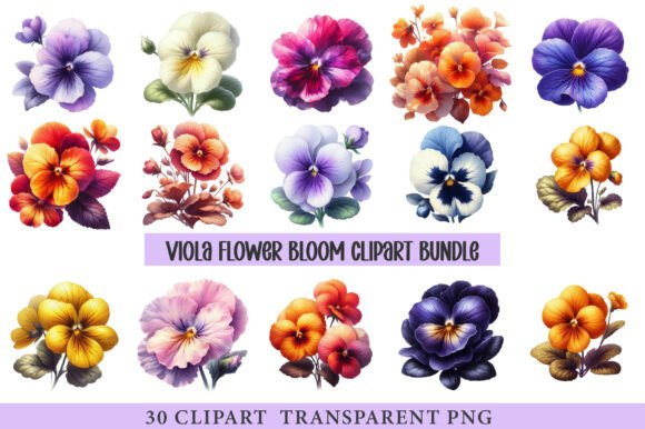 Download Viola Flower Bloom - Viola Collection