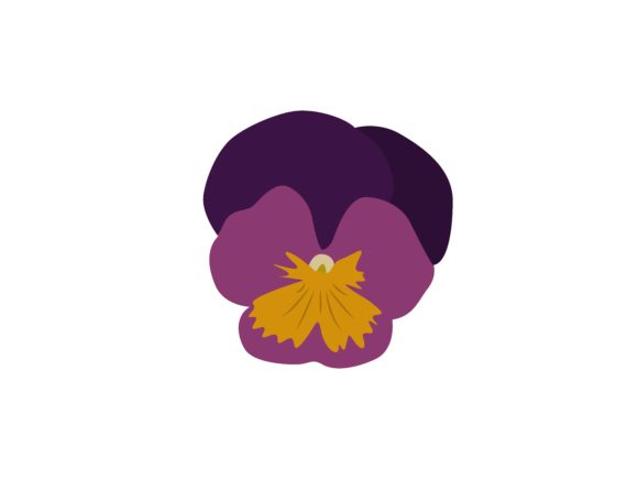Download Viola Flower - Viola Collection