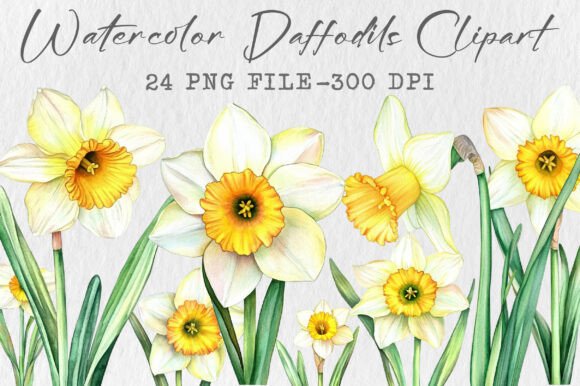 Download Watercolor Daffodils Clipart - Daffodils clipart Collection