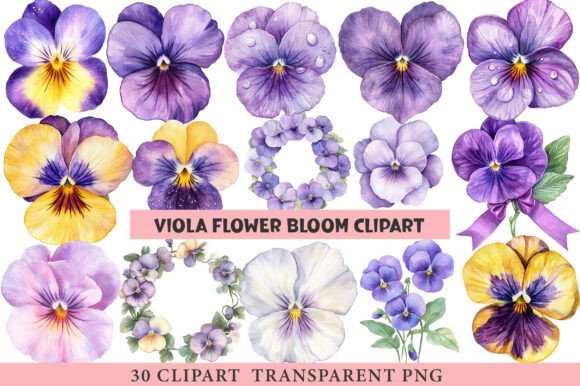 Download Viola Flower Bloom Clipart - Viola Collection